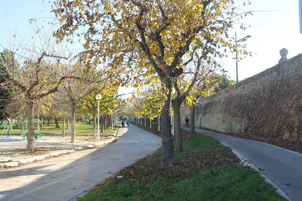 Valencia Turia park