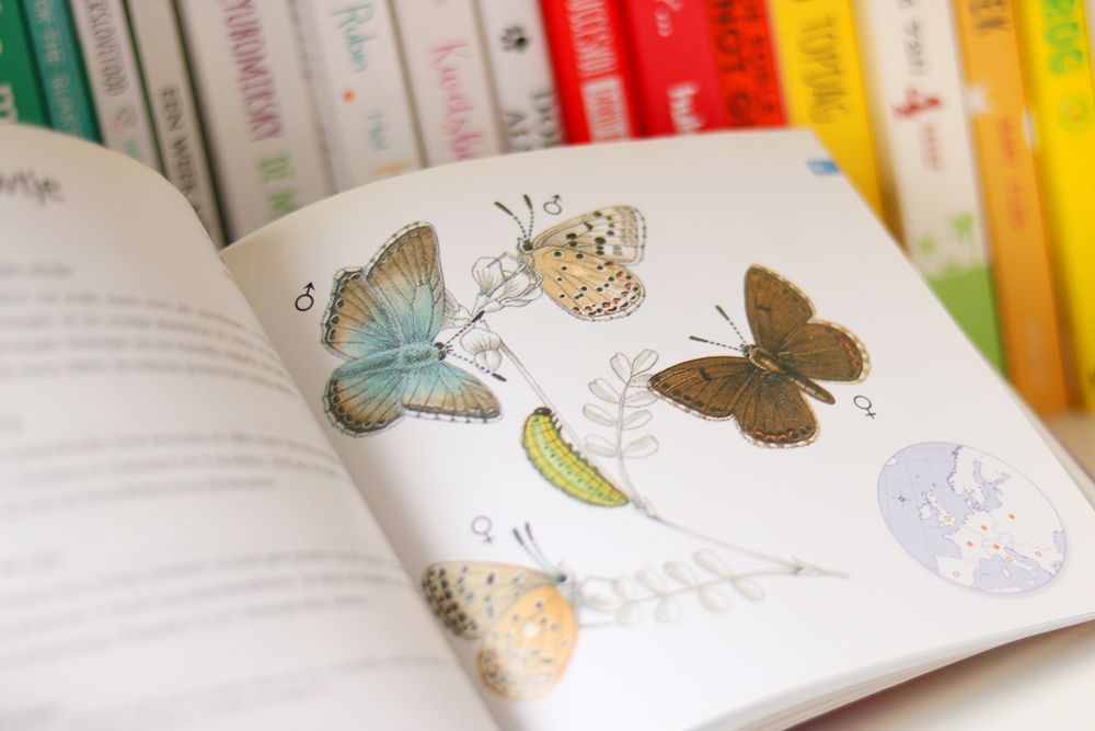vlinders boek